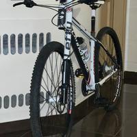 Cannondale 29 plus
