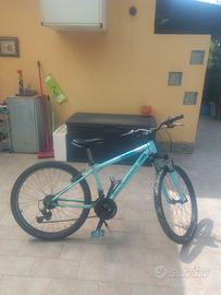 mountan bike ruota 24