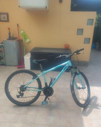 mountan bike ruota 24