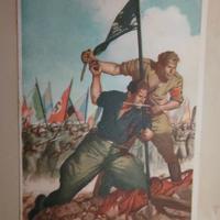 Cartolina Militare 1942 viaggiata - P.M. 206 (Div.