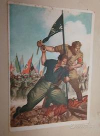 Cartolina Militare 1942 viaggiata - P.M. 206 (Div.