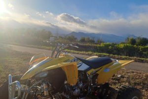 Yamaha raptor 450 targato