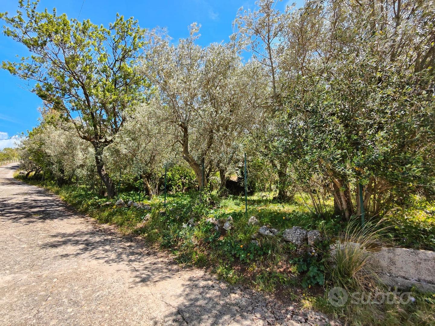 Monreale/monte caputo ampi lotti di terreno - Vista 4