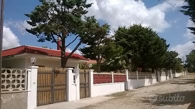 Ancora disp Villino ideale per fam 300 MT mare 