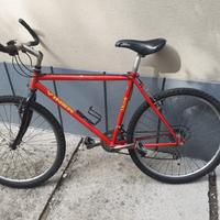 Bicicletta Mtb 