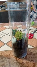 terrario artigianale 