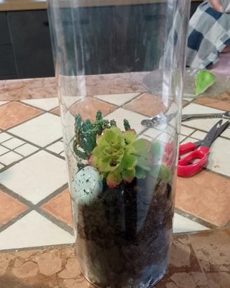 terrario artigianale 