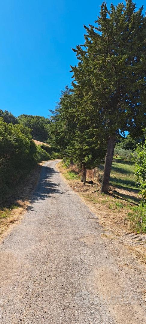 Vendita terreno agricolo - Vista 2