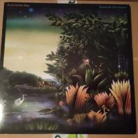 LP vinile dei FLEETWOOD MAC