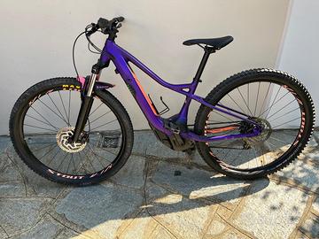 E-Mtb Specialized Turbo Levo All Trailer