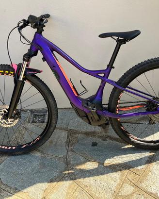 E-Mtb Specialized Turbo Levo All Trailer