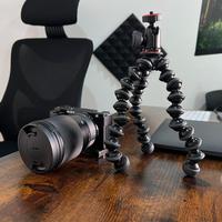 Sony ZVE10 + Sigma 16mm F1.4/C AF DC