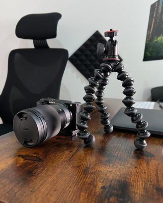 Sony ZVE10 + Sigma 16mm F1.4/C AF DC