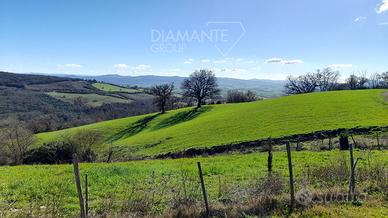 Azienda agricola di 22 Ha con casale ed annessi