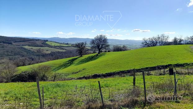 Azienda agricola di 22 Ha con casale ed annessi