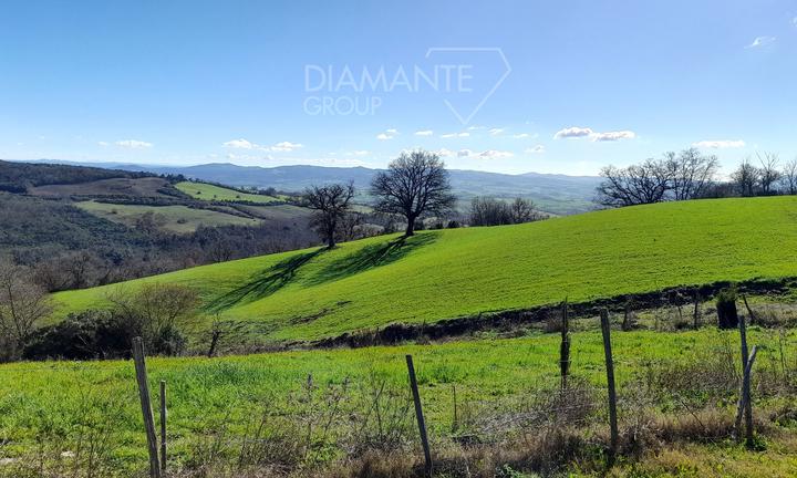 Azienda agricola di 22 Ha con casale ed annessi