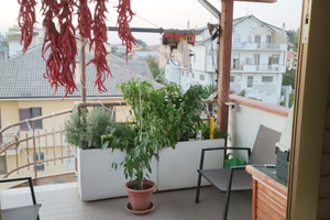 Mansarda Cepagatti centro