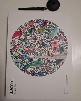 Tavoletta grafica Wacon intuos pro Pth-660