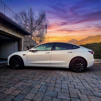 Tesla Model 3 Performance 2023