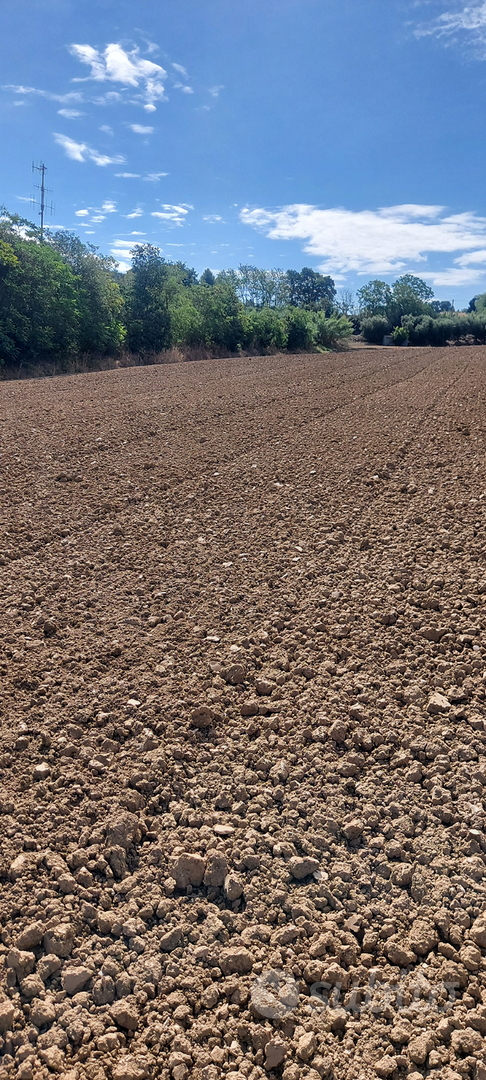 Terreno agricolo - Vista 4