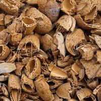 Gusci di mandorla - sacco da 20kg