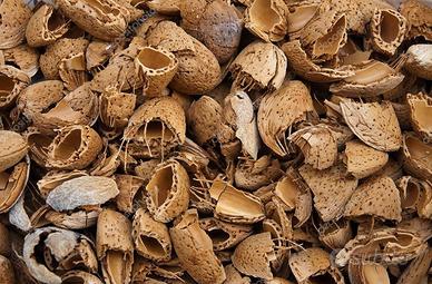 Gusci di mandorla - sacco da 20kg