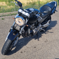 Honda hornet