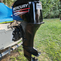 Mercury 40-60cv EFI 2004