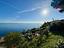 Immagine 21