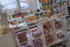 Negozio gluten free avviato - Musicisti