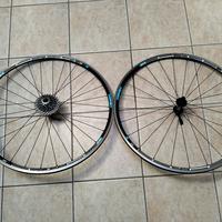 Coppia di ruote DT SWISS.