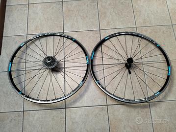 Coppia di ruote DT SWISS.