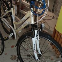 Bicicletta Olympia EasyGo