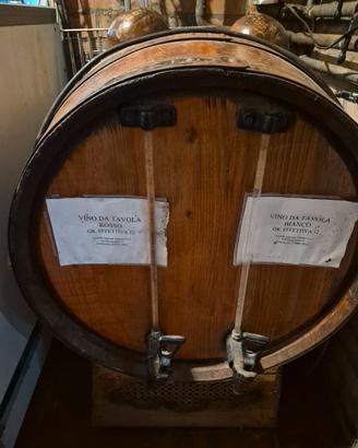 botte frigo per vino