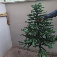 alberi natale