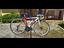 Immagine 5