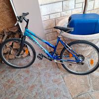 bicicletta