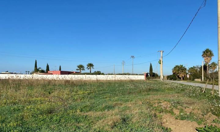 Menfi fiori terreno mq 10.420