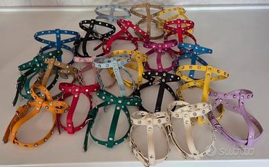 pettorine più guinzaglio cagnolini