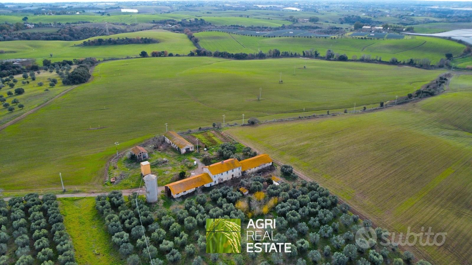 Terreno agricolo di 48 HA con casale e fabbricati - Vista 5
