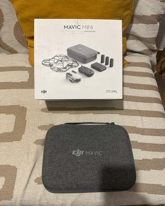 Dji mavic mini
