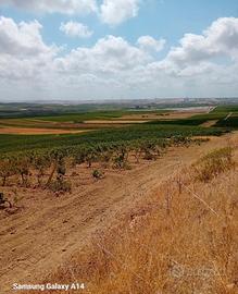 Vendita terreno agricolo
