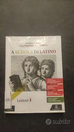 A scuola di latino