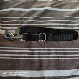 Cintura di sicurezza auto per cani