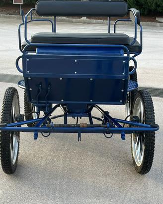 Carrozza maratona