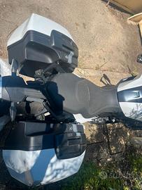 Borse laterali BMW FXR 900 ANNO 2024