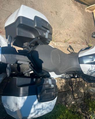 Borse laterali BMW FXR 900 ANNO 2024