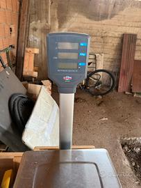 Bilancia  elettronica