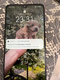 Huawei Mate 20 bloccato