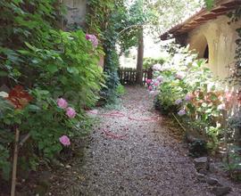 Rustico/Casale/Corte Cavriglia [X031/24CVRG]